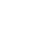 Bastion Gemini- dwuprzewodowy
