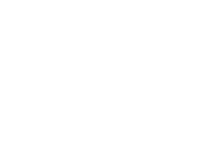 Bastion Gemini- napęd bramy